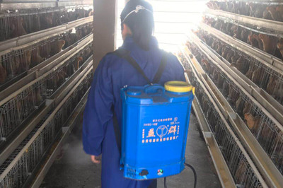 保供给促稳定 全力打好家禽销售防控疫情阻击战