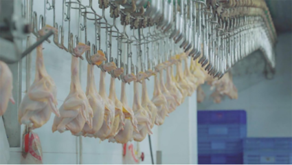 台山农企上榜粤港澳大湾区“菜篮子”基地续证名单，家禽销售再获认可